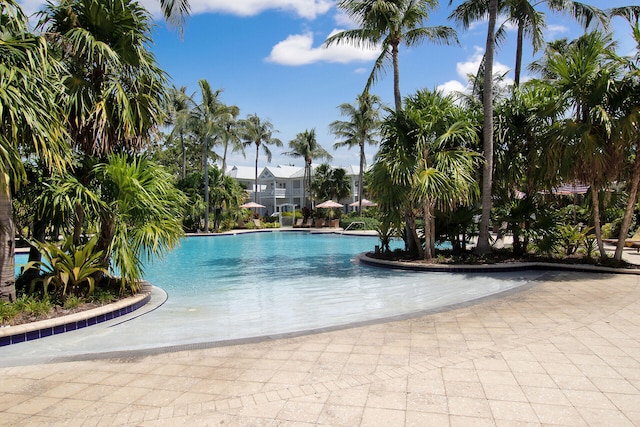 view of swimming pool