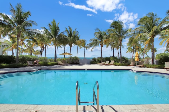 view of swimming pool