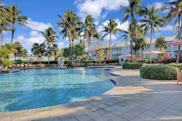 view of pool