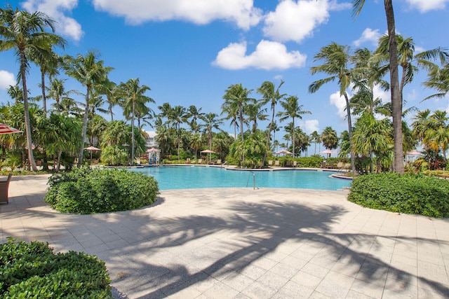 view of pool featuring a patio area