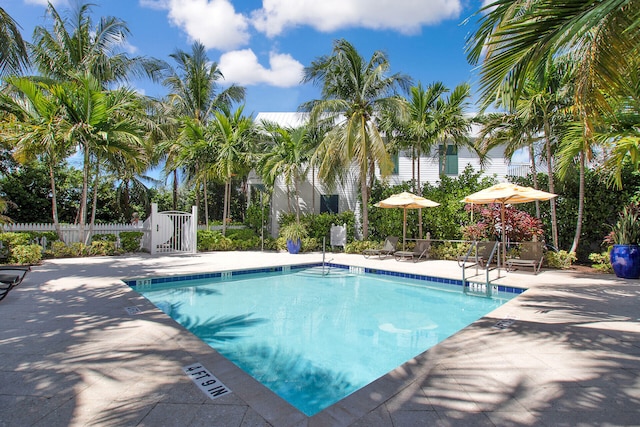 view of pool featuring a patio area