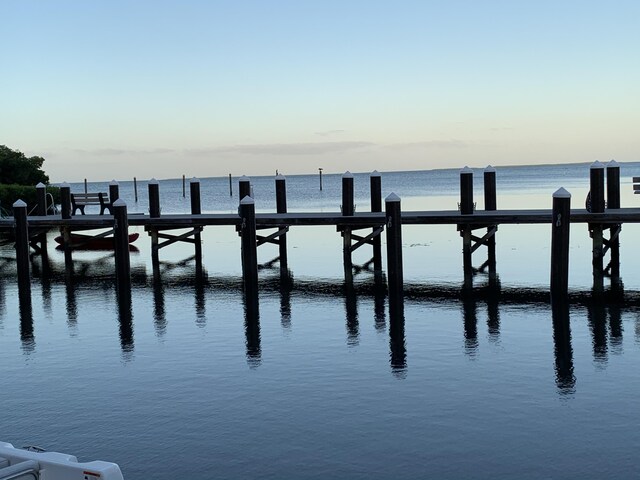 dock area with a water view