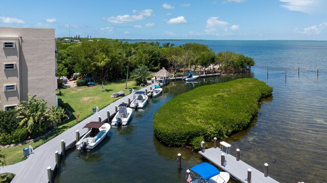 drone / aerial view with a water view