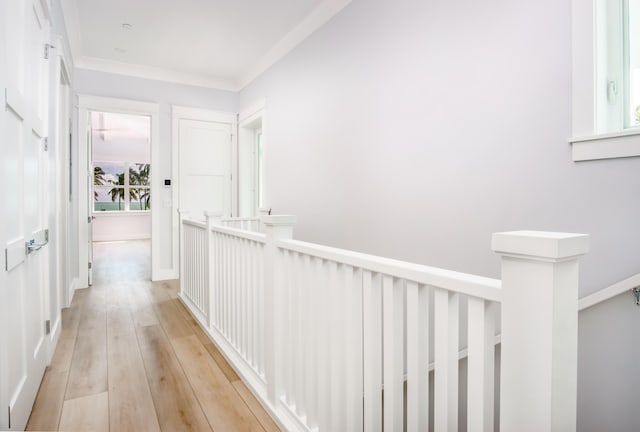 hallway featuring light hardwood / wood-style flooring and ornamental molding