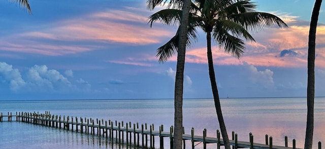 water view featuring a boat dock