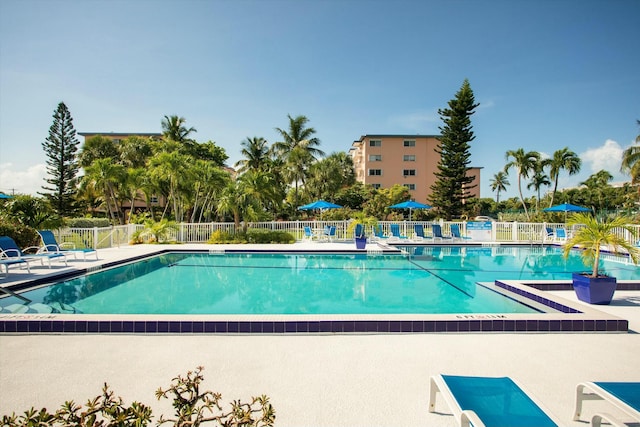 view of pool featuring a patio area