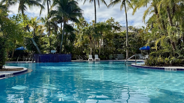 view of swimming pool