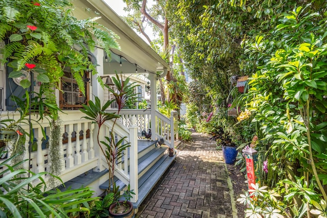 view of patio / terrace with covered porch