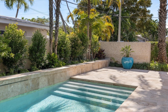 view of swimming pool featuring fence private yard and a patio