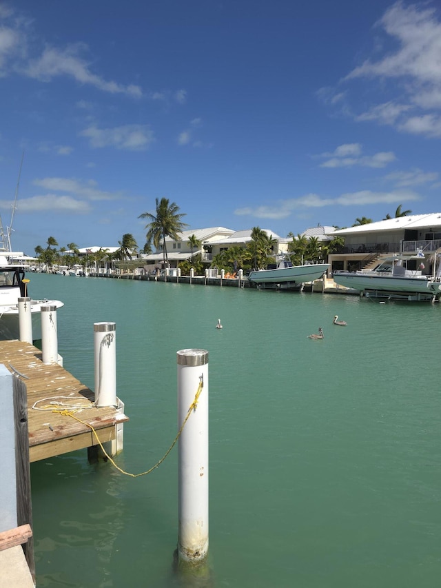 dock area with a water view