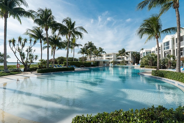 view of swimming pool