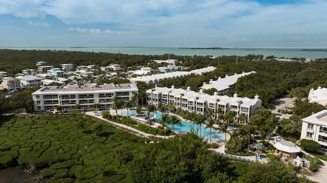 bird's eye view with a water view