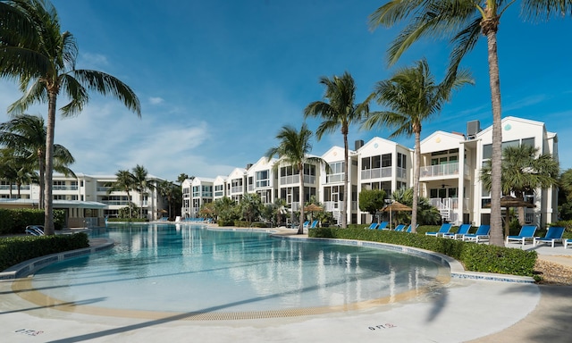 view of swimming pool