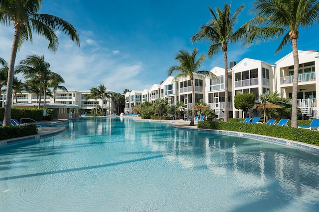 view of swimming pool