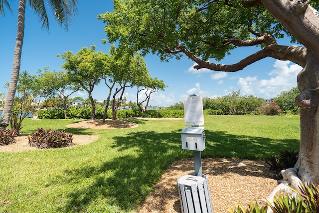95 Coco Plum Dr Unit 1A, Marathon, FL 33050 - view of green lawn