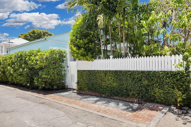 view of gate with fence