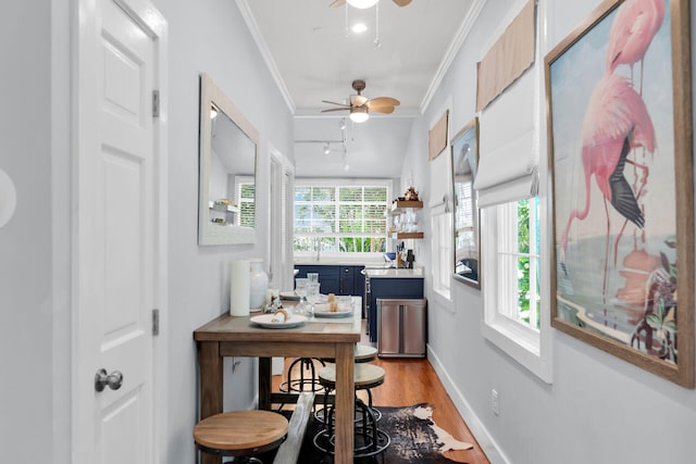 home office with light wood-style flooring, attic access, baseboards, ceiling fan, and crown molding
