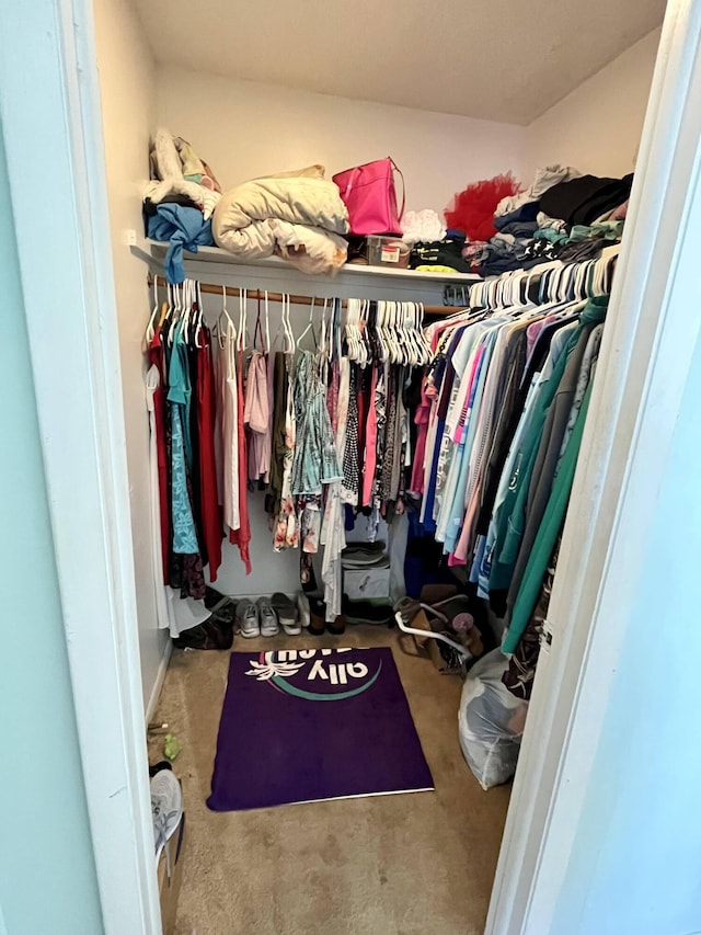 view of spacious closet