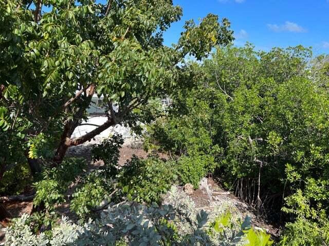 148 Tequesta St, Islamorada, FL 33070 - photo 9