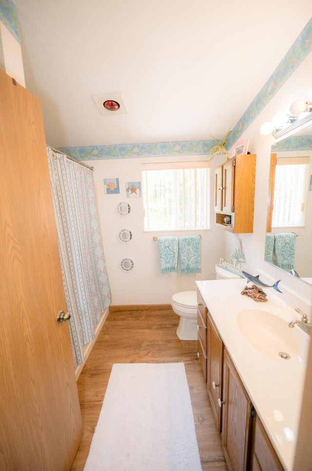 bathroom featuring vanity, toilet, and hardwood / wood-style floors