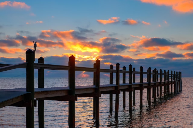 dock area with a water view