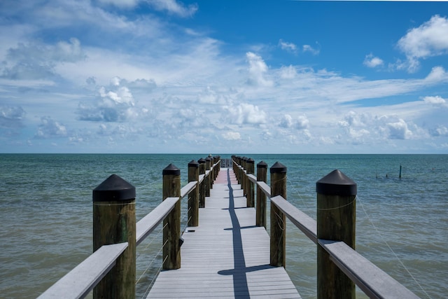 dock area featuring a water view