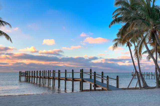 dock area featuring a water view