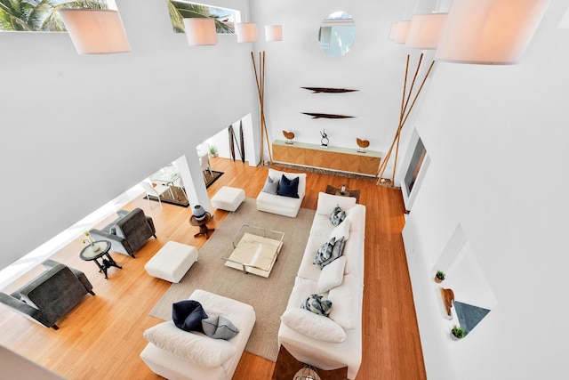 living room featuring hardwood / wood-style floors