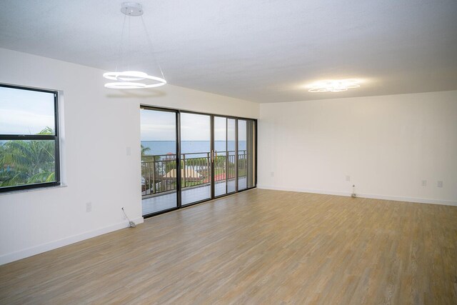 unfurnished room featuring a healthy amount of sunlight and light hardwood / wood-style flooring