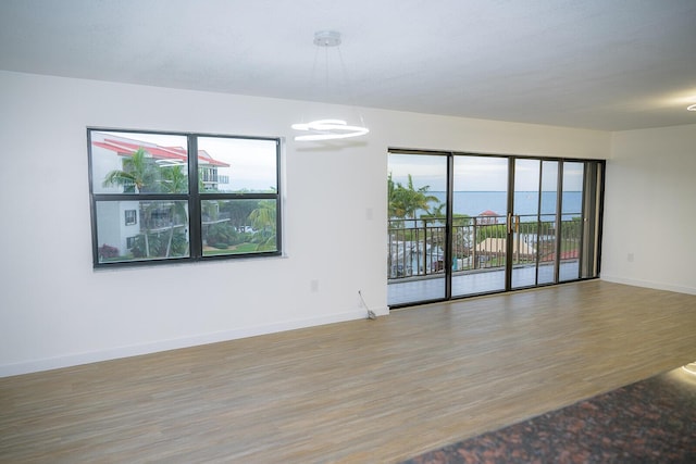 unfurnished room featuring hardwood / wood-style flooring