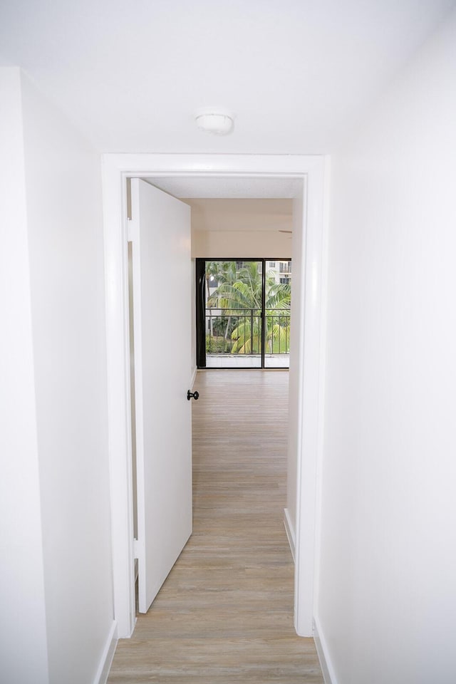 hallway featuring light hardwood / wood-style flooring