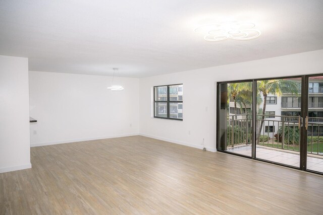 empty room featuring a wealth of natural light and light hardwood / wood-style flooring