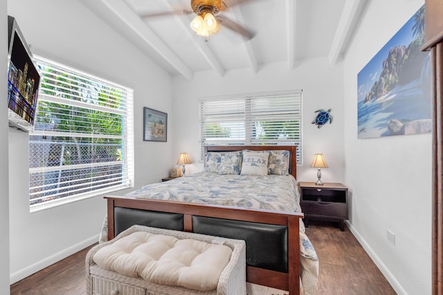 bedroom featuring ceiling fan, beam ceiling, dark hardwood / wood-style flooring, and multiple windows