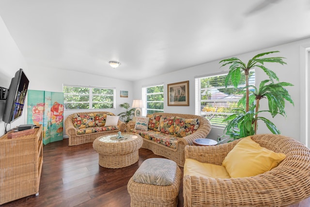 living room featuring dark hardwood / wood-style flooring