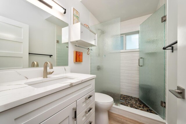 bathroom with vanity, toilet, a shower with shower door, and wood-type flooring