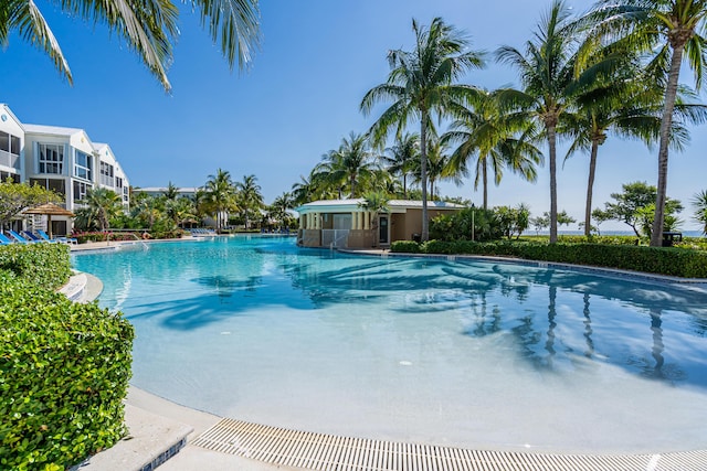 view of swimming pool