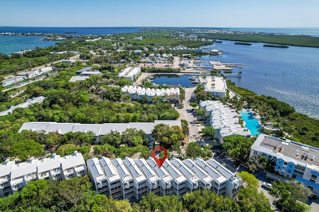 aerial view with a water view