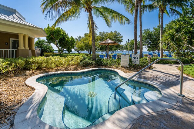 view of swimming pool