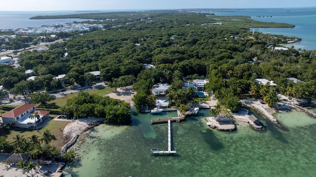 bird's eye view featuring a forest view and a water view