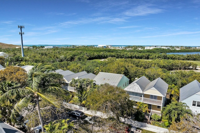 bird's eye view