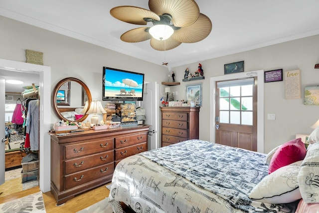 bedroom with light wood-style flooring, a ceiling fan, a closet, a walk in closet, and crown molding