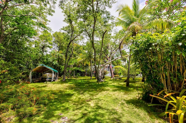 view of yard featuring a carport