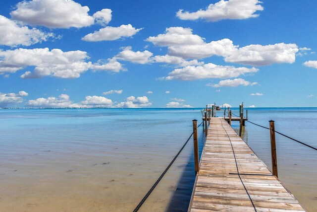 dock area with a water view