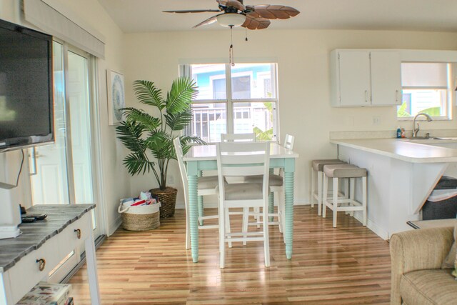 dining space featuring plenty of natural light, sink, and light hardwood / wood-style floors