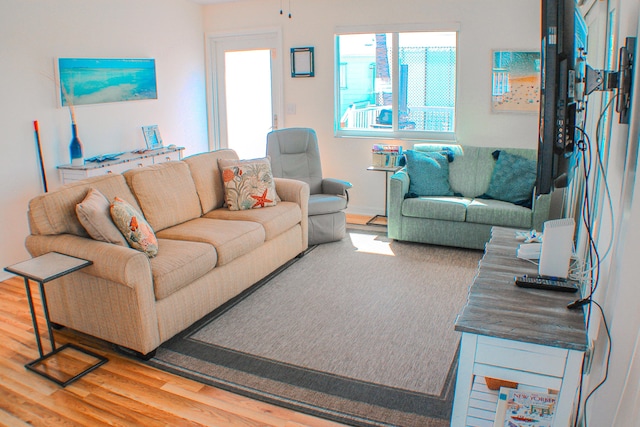 living room featuring hardwood / wood-style floors