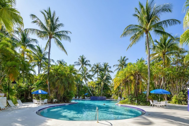 pool featuring a patio area