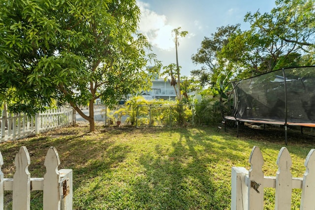 view of yard with a trampoline