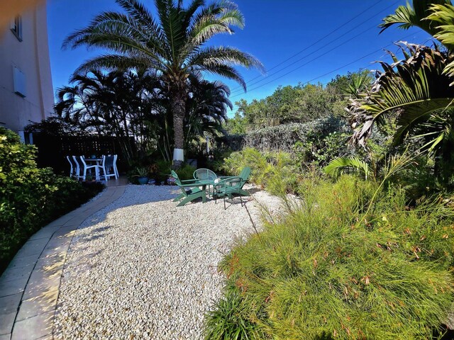 view of yard featuring a patio