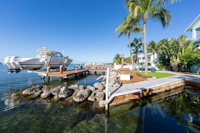 dock area with a water view