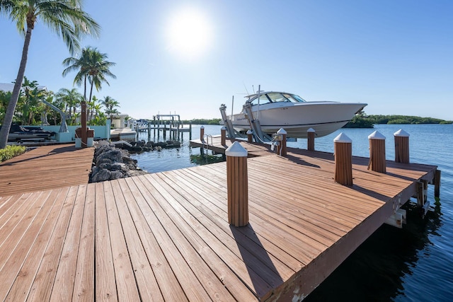 dock area with a water view